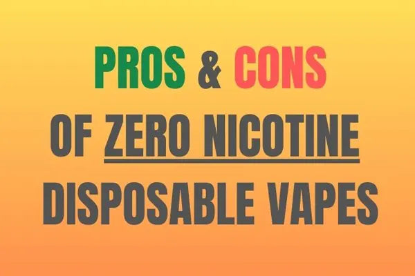 Nicotine-Free Disposables Review: Savor the Variation!